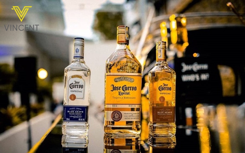 Lý do tại sao Cách Phân Biệt Rượu Tequila và Gin được người tiêu dùng yêu thích