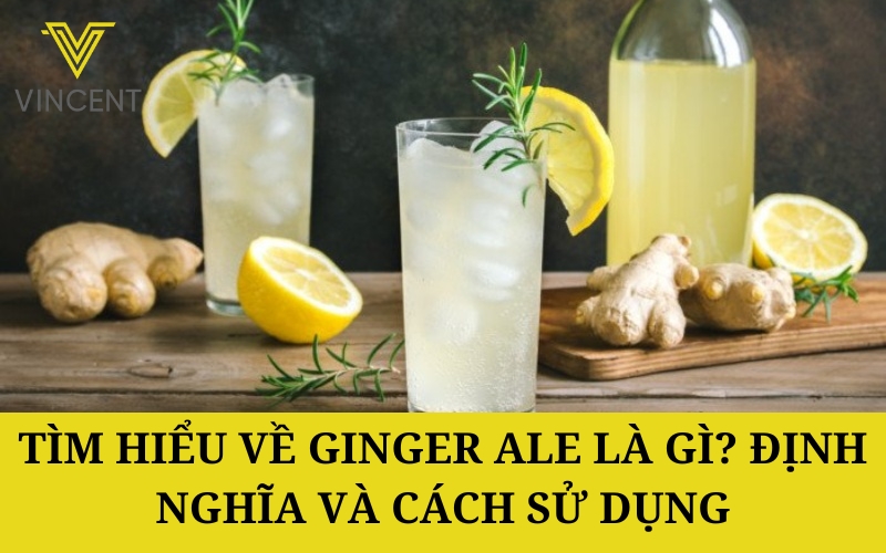 Tìm Hiểu Về Ginger Ale là gì? Định Nghĩa và Cách Sử Dụng